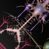 Retina Regeneration